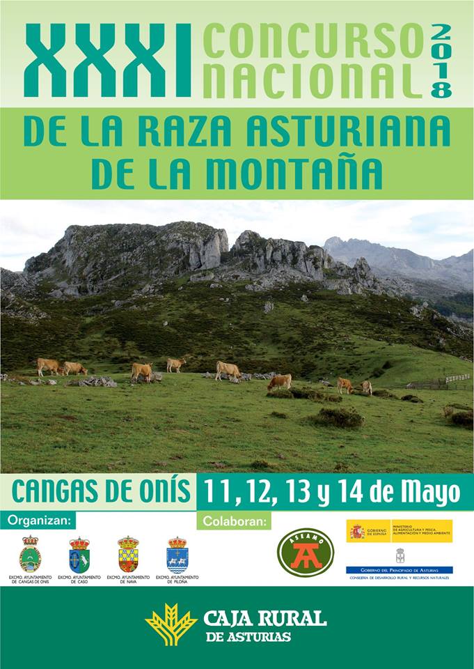 31-concurso-asturiana-de-lamontana-cangas-de-onis
