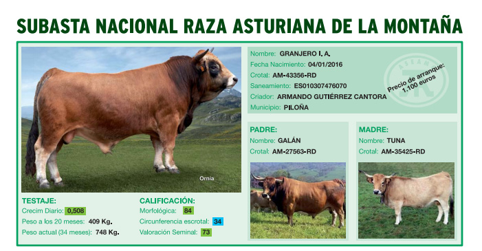 asturiana de la montana granjero